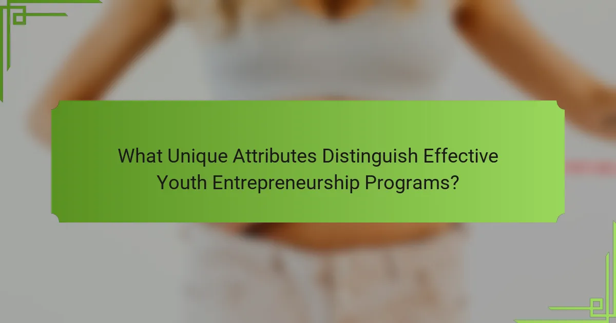 What Unique Attributes Distinguish Effective Youth Entrepreneurship Programs?